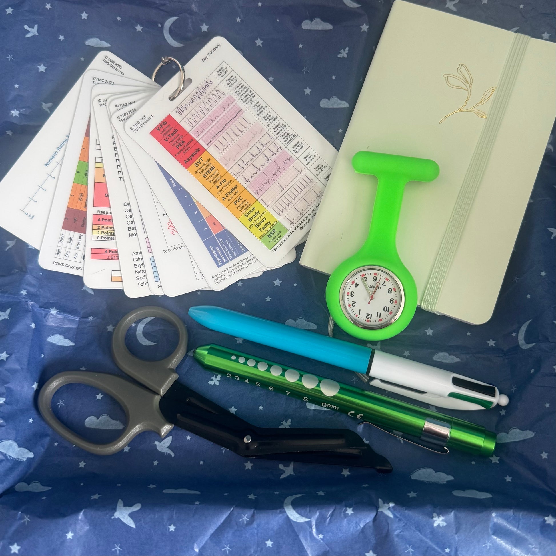 Green Healthcare Gift Set for Students and Professionals. Ideal for Student Nurse, Nurse, Student Paramedic, Paramedic and Medical Students