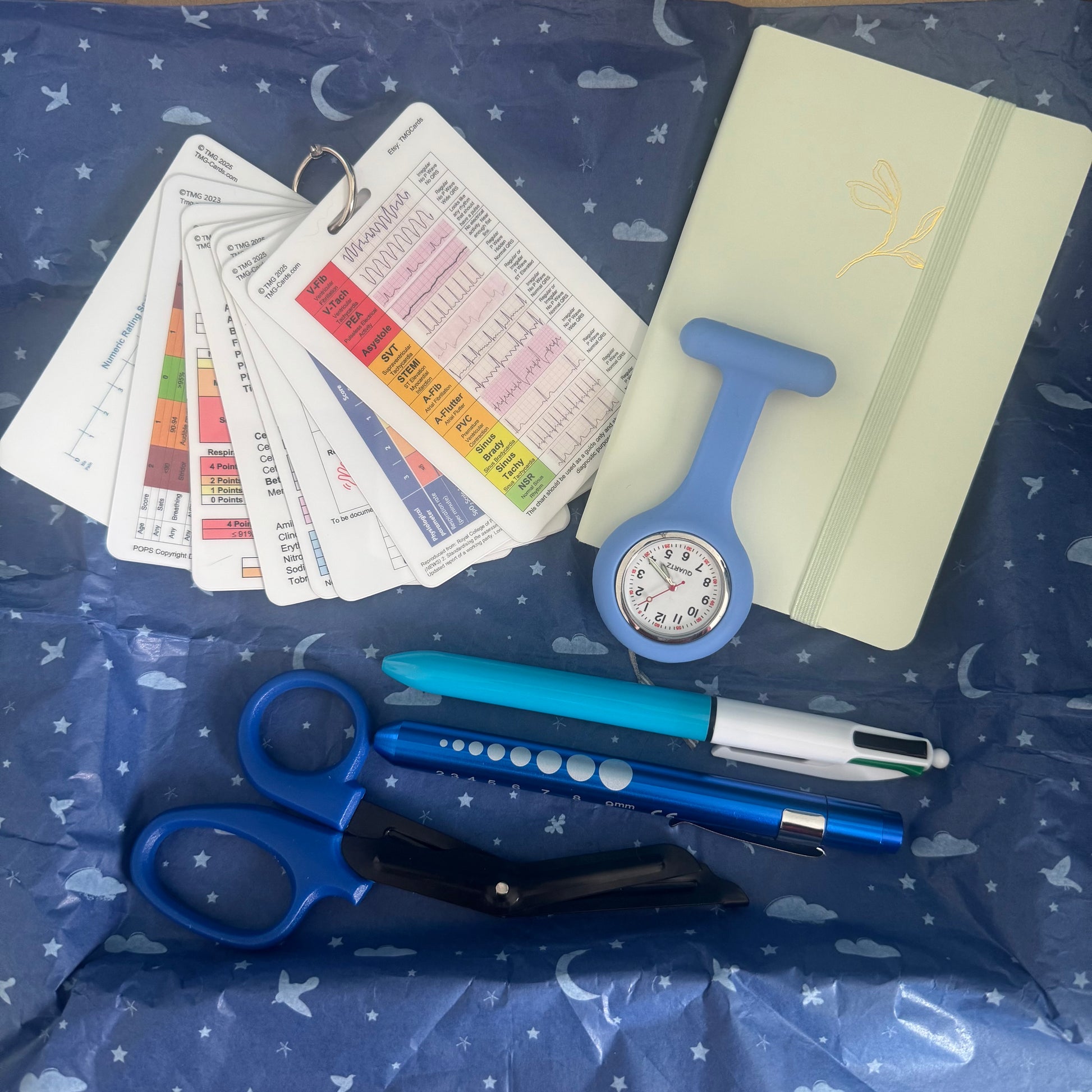 Blue Healthcare Gift Set for Students and Professionals. Ideal for Student Nurse, Nurse, Student Paramedic, Paramedic and Medical Students