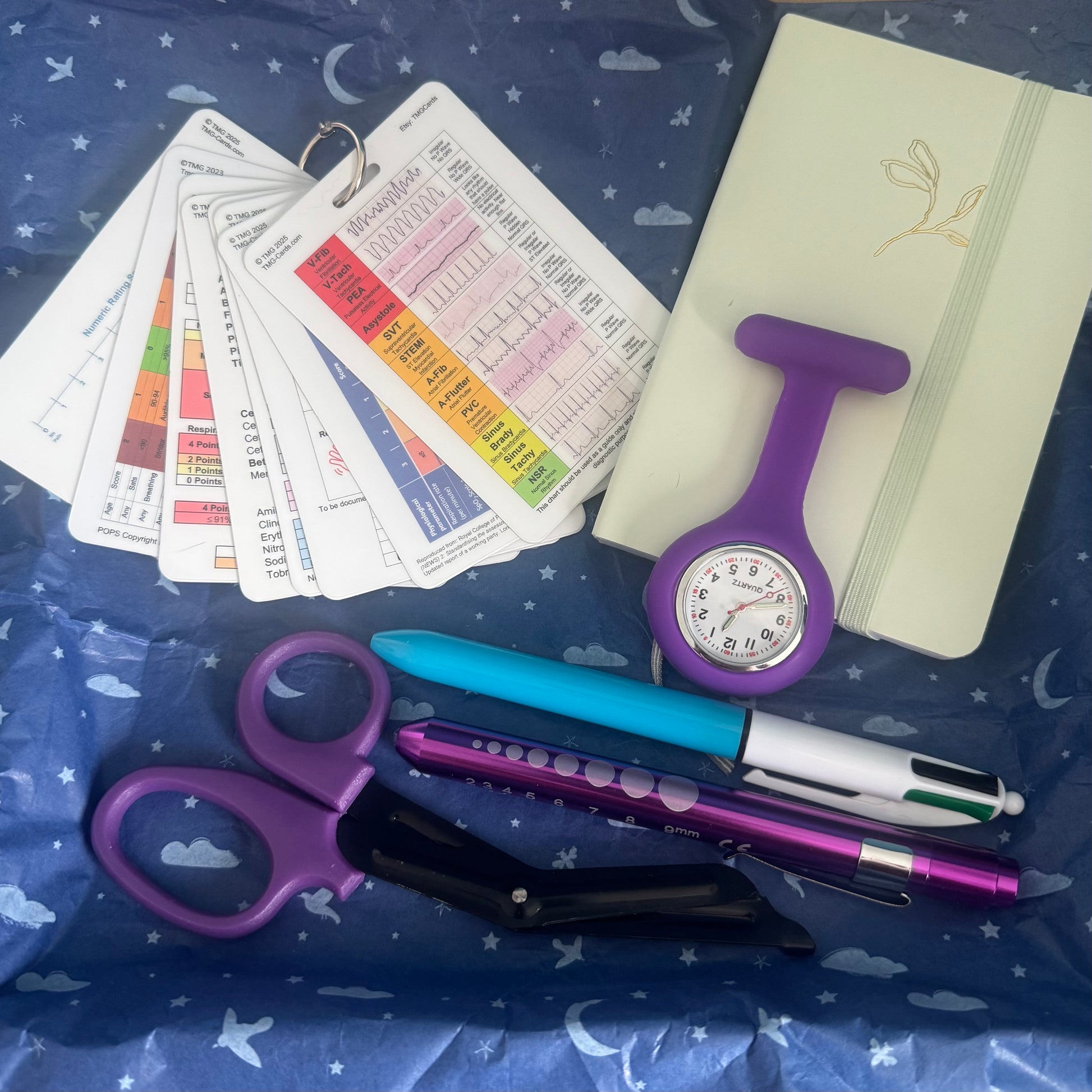 Purple Healthcare Gift Set for Students and Professionals. Ideal for Student Nurse, Nurse, Student Paramedic, Paramedic and Medical Students